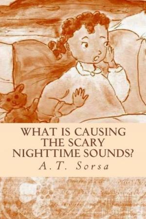 Book cover of What is Causing the Scary Nighttime Sounds?