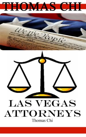 Book cover of Las Vegas Attorneys