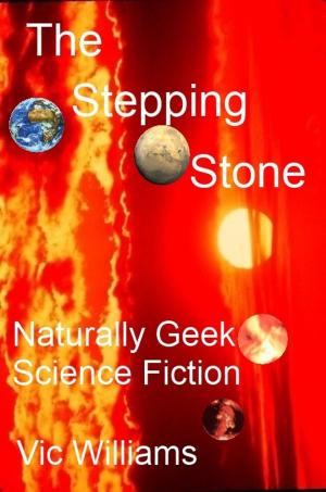 Cover of the book The Stepping Stone by MIchael Dirubio