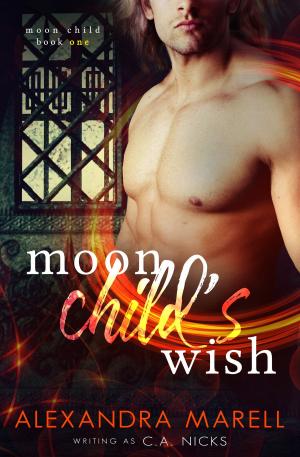 Cover of the book The Moon Child's Wish by Ronnell Porter