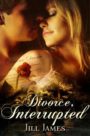 Cover of the book Divorce, Interrupted by Victoria Bright