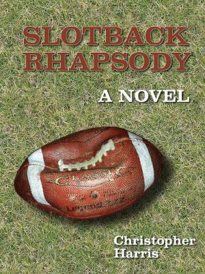 Book cover of Slotback Rhapsody