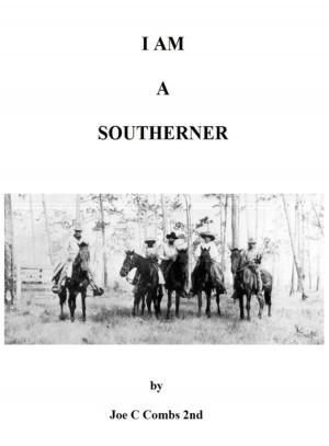 Cover of the book I Am A Southerner by Liliana Angela Angeleri