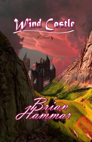 Book cover of Wind Castle