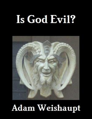 Book cover of Is God Evil?