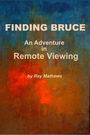 Book cover of Finding Bruce