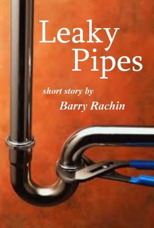 Cover of the book Leaky Pipes by Barry Rachin