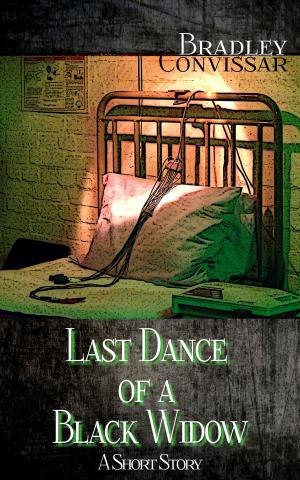 Cover of the book Last Dance of a Black Widow by Pamela Cowan