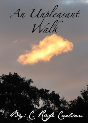 Book cover of An Unpleasant Walk