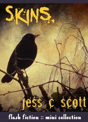 Cover of the book Skins (flash fiction mini collection) by Jess C Scott