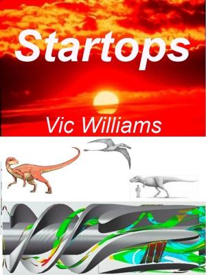 bigCover of the book Startops by 