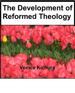 Book cover of The Development of Reformed Theology