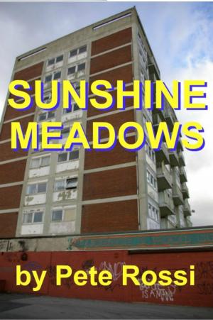 Cover of the book Sunshine Meadows by C.W. Lemoine