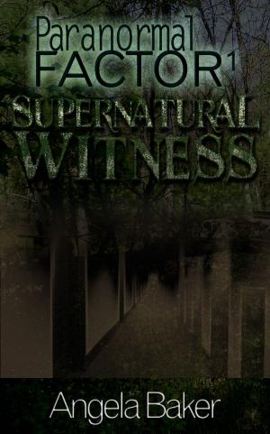 Book cover of Paranormal Factor I. Supernatural Witness