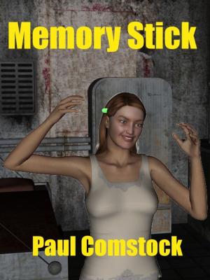 Book cover of Memory Stick
