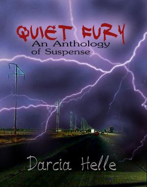 Cover of the book Quiet Fury: An Anthology of Suspense by Vanessa Sims