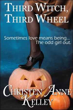 Cover of the book Third Witch, Third Wheel by Chris Schooner