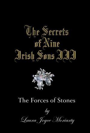 Book cover of The Secrets of Nine Irish Sons: The Forces of Stones