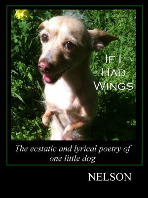 Cover of the book If I Had Wings by Tracey Howard