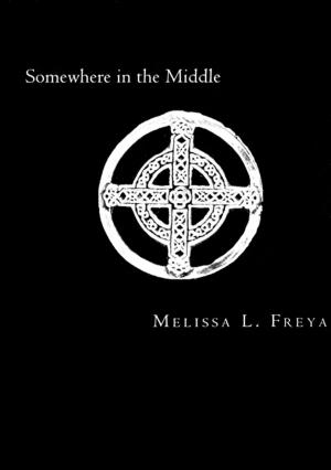 Cover of the book Somewhere in the Middle by Austin Hall
