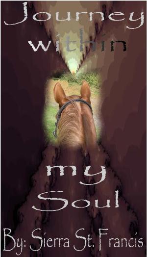 Cover of the book Journey within my Soul by SnowDancer