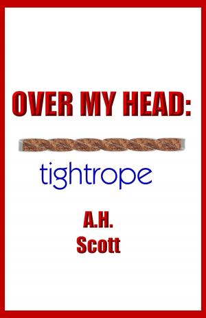 Book cover of Over My Head: Tightrope