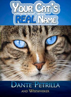 Book cover of Your Cat's REAL Name