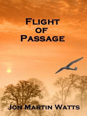 Cover of the book Flight of Passage by AD Stewart