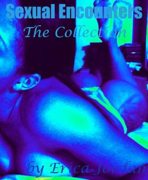bigCover of the book Sexual Encounters: The Collection (4 HOT Stories) by 