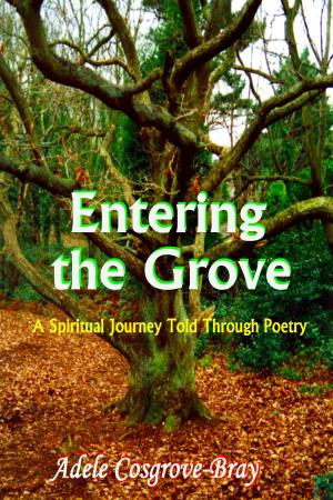 Cover of the book Entering the Grove by Adele Cosgrove-Bray