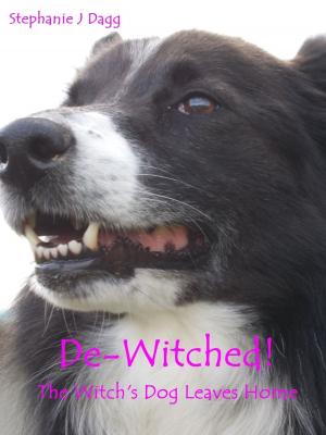 Cover of De-Witched!
