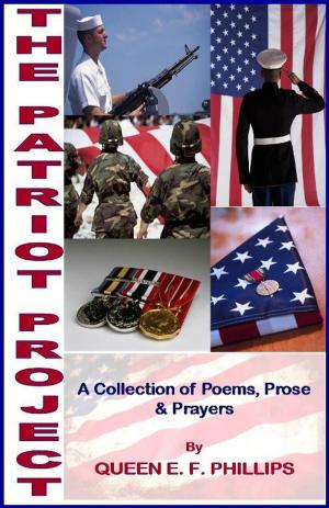 Book cover of The Patriot Project