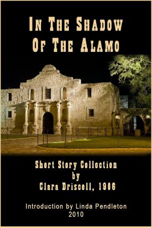 Cover of In The Shadow of the Alamo: Short Story Collection