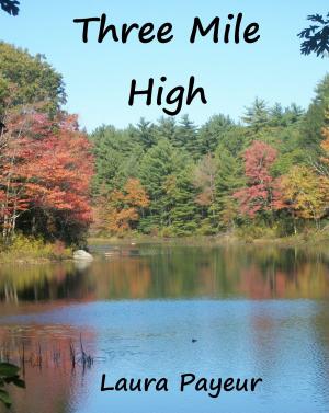 bigCover of the book Three Mile High by 