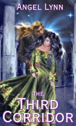bigCover of the book The Third Corridor by 