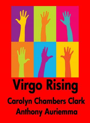 Cover of the book Virgo Rising by Doreen Brust Johnson