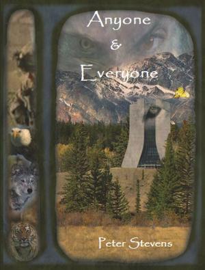 Cover of the book Anyone & Everyone by David Kristoph