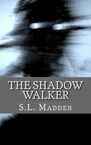 Book cover of The Shadow Walker