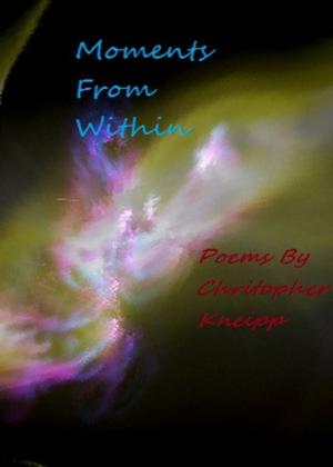 Cover of the book Moments From Within by Talia Zane