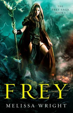 Cover of the book Frey by B.M. Griffin