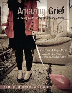 Book cover of Amazing Grief A Healing Guide for Parents of Young Addicts.