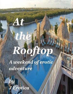 Book cover of At the Rooftop