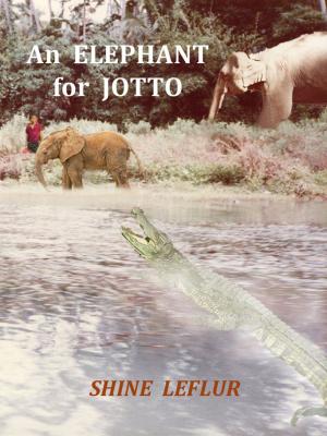 Book cover of An Elephant for Jotto