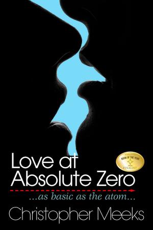Book cover of Love At Absolute Zero