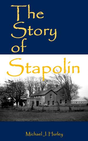 Cover of the book The Story of Stapolin by Chirag Patel