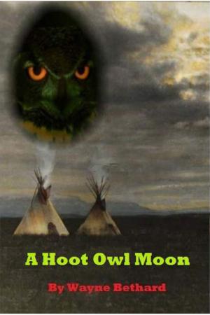 Cover of A Hoot Owl Moon