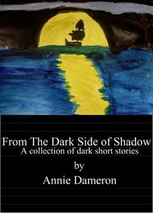 Book cover of From the Dark Side of Shadow
