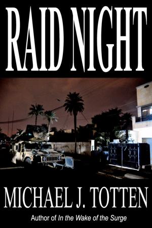 bigCover of the book Raid Night by 