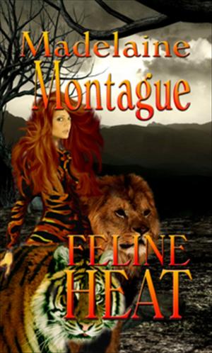 Book cover of Feline Heat