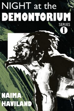 Cover of the book Night at the Demontorium, Series Book 1 by Stéphane Couturier